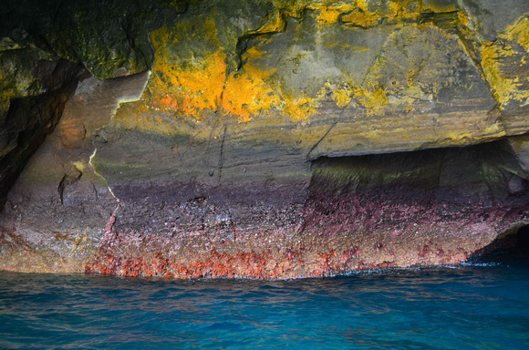 Large Coves with spectacular colors
