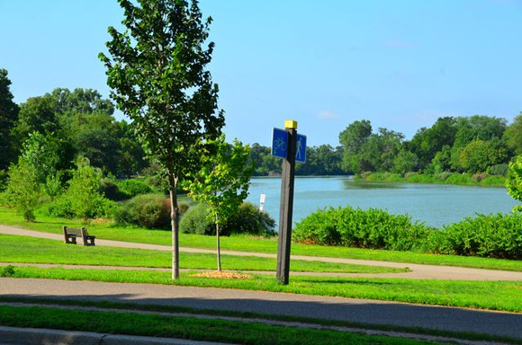 Separate cycling and walking paths around lake of the isles